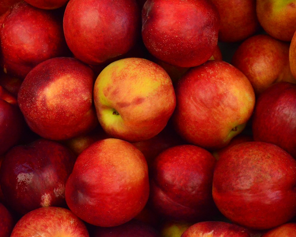 Fresh red apples