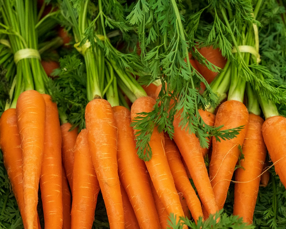 Fresh carrots