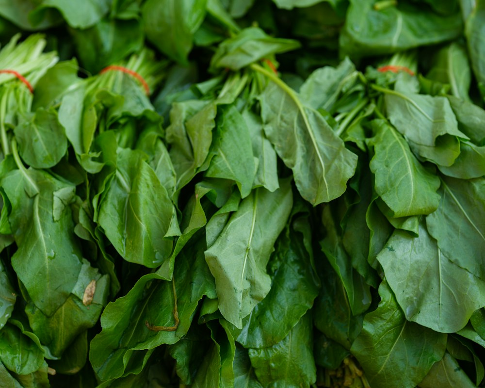Fresh leafy greens