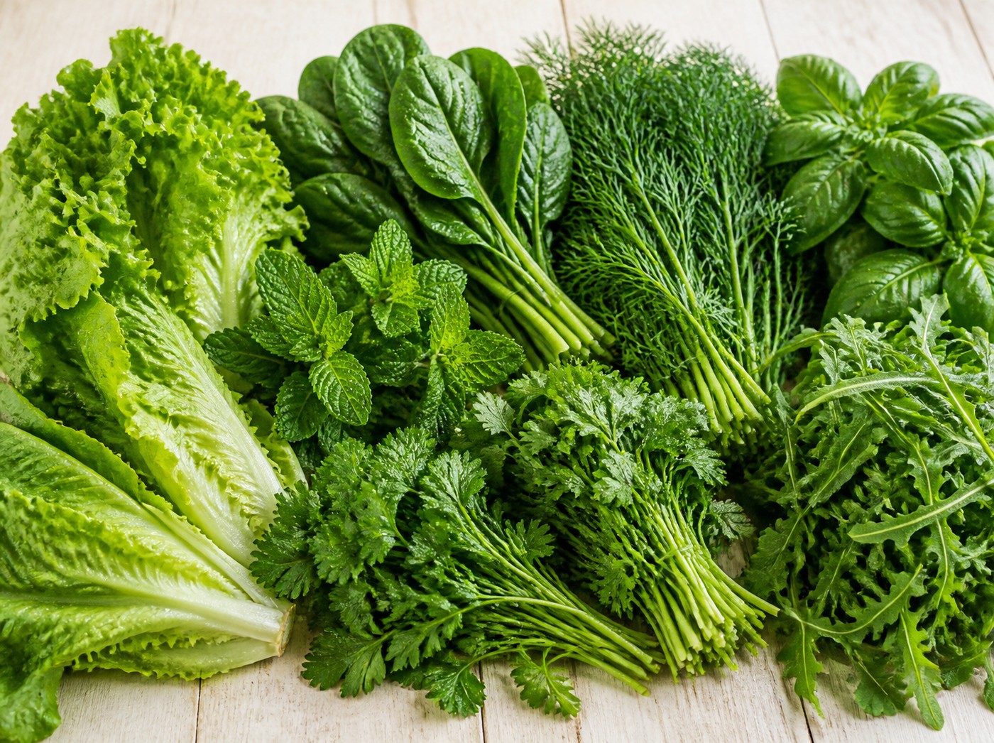 Fresh leafy greens and herbs – lettuce, spinach, mint, parsley, coriander, dill