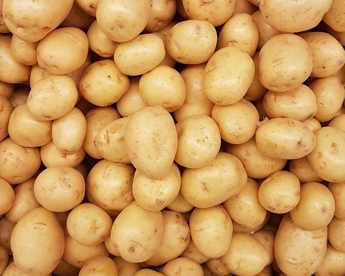 Fresh potatoes
